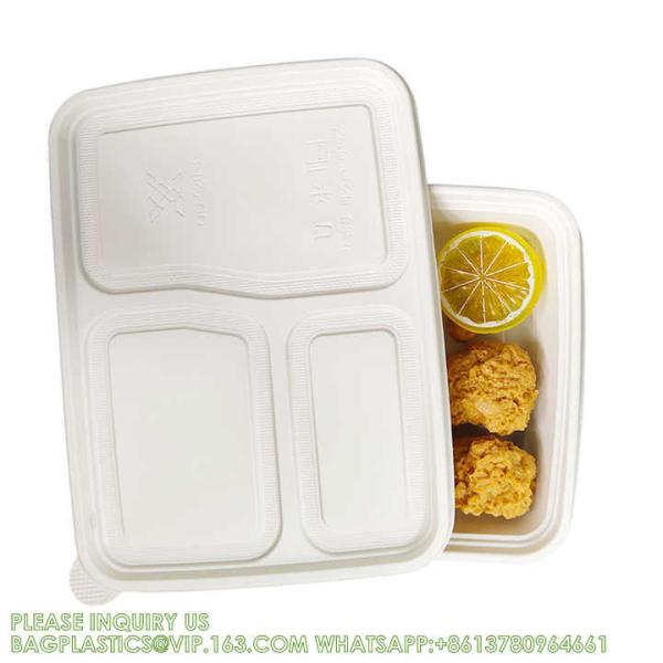 Disposable Biodegradable Sugarcane Bagasse Pulp Food Container Take Away Lunch Box Sugar Cane Food Container