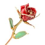 24k Gold Rose preserved rose in Gift Box with Clear Display Stand Best Gift