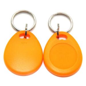 Wholesale Proximity LF RFID Key Fob Tag Keychain Read / Write For Hotel Door Mangement from china suppliers