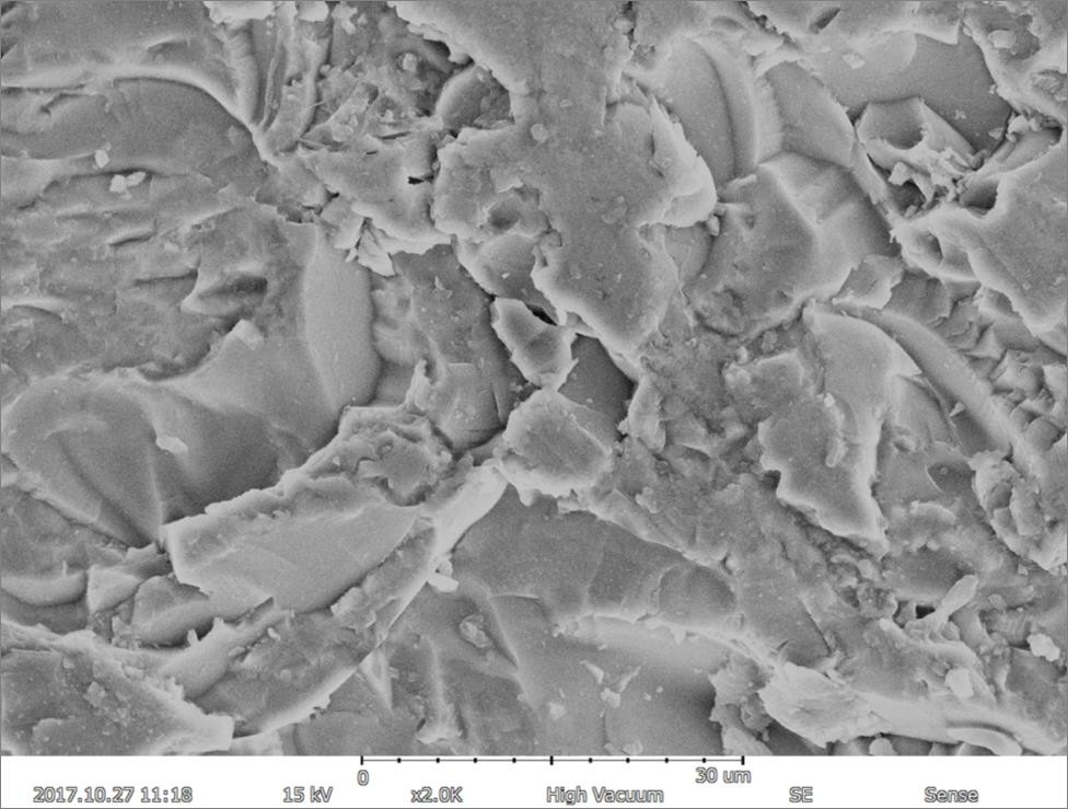 Magnification Max 150000X Scanning Electron Microscope 5nm Resolution EDS BSE