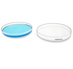 Wholesale 100mm X 15mm Sterile Plastic Petri Dishes For Bacterial Growth With Agar from china suppliers