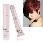 OEM Natural Ammonia Free 80ml Permanent Hair Dye