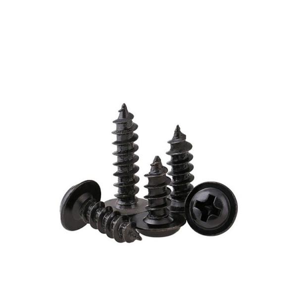 Stainless Steel Black Zinc Pan Washer Head Self Tapping Sheet Metal Screw with