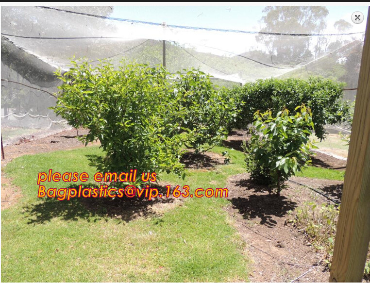 HDPE Virgin White Recycle Greenhouse Anti Insect Net,50 mesh cover greenhouse agricultural anti insect net insect nettin
