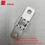 Ceramic A202008 250A 125VDC Car Battery Fuse For EV