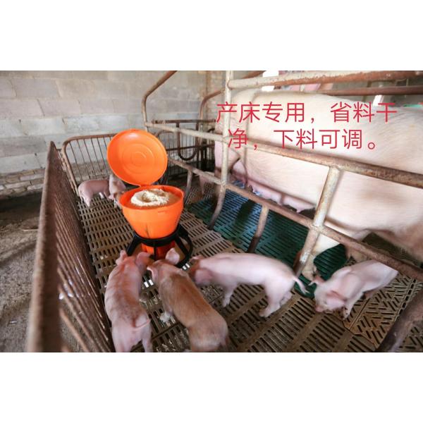 15L Piglet Feeding Trough Durable 420*360*230mm Easy To Clean