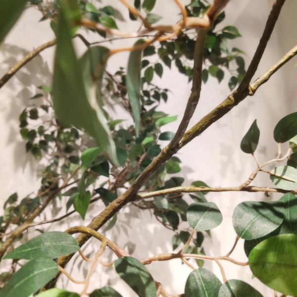 Custom Corner Artificial Ficus Tree Space Decoration Minimalist Style