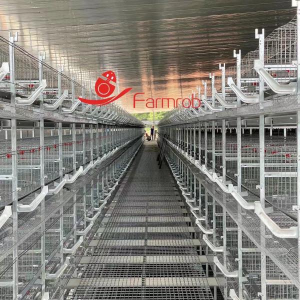 1800×600×430mm H Type Poultry Battery Cage System Low Egg Breakage Rate For