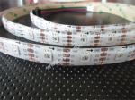 IC built-in 5050 SMD flexible led strip ip20/65/67/68 waterproof for outdoor use