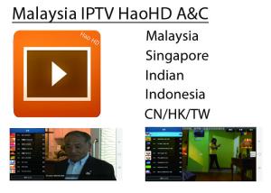 Wholesale HAOHD IPTV Malaysia Singapore Live Channel Subscription For android TV BOX from china suppliers