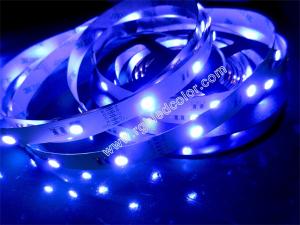 Wholesale DC12V 24V RGBW LED STRIP 30LED/M from china suppliers