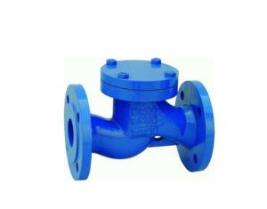 Wholesale Ductile Iron Lift Check Valve Flanged End PN10 PN16 Pressure from china suppliers