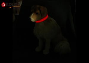 Wholesale Security LED Iluminous Anti Lost Dog Collar Night Necklace With 1 * CR2032 Button Batteries from china suppliers