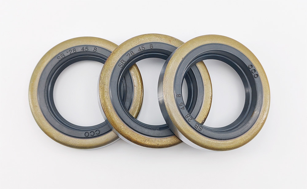 Black NBR and Metal Seals Oil Resistance Sealing Dustpro of Mechanical Oil Seal