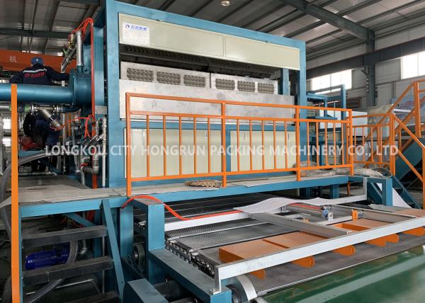 Large Capacity Automatic Paper Pulp Tray Machine / Egg Tray Manufacturing