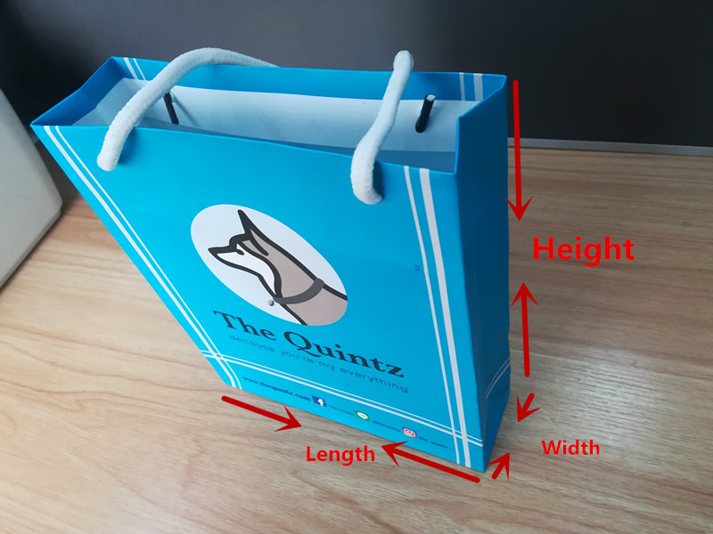 Eco-Friendly Custom Clothes Packaging Bag with Recycled Woodfree Paper and Custom Logo