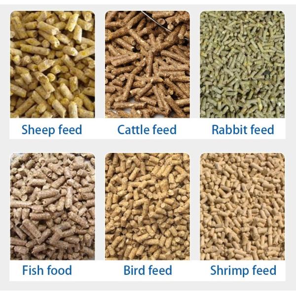 feed pellet machine Automatic Chicken Feed Making Machine Animal Feed Pellet Machine Feed Pellet Mill 