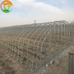Ventilation Vents for 150/200micro PE Film Covered Greenhouse on Poultry Farm