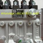 Cummins 6CT8.3 Engine Fuel Injection Pump 5258153 for Generator