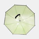 Straight POE Transparent Dome Umbrella With J Shape Handle
