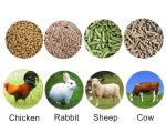 1mm To 6mm Cow Sheep Livestock Feed Equipment 1-10 Ton Per Hr