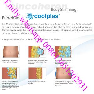 Wholesale slimming machine Coolplas cryolipolysis fat freezing liposuction sincoheren coolsuclpting from china suppliers
