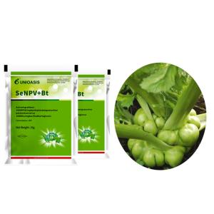Wholesale Organic Biological Insecticides WP Natural Pesticide Powder Nuclear Polyhedrosis Virus SeNPV Effect on Cabbage Worm from china suppliers