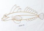 Minimalism Ocean Series Sea Snail Shell Sea Life Wall Decor