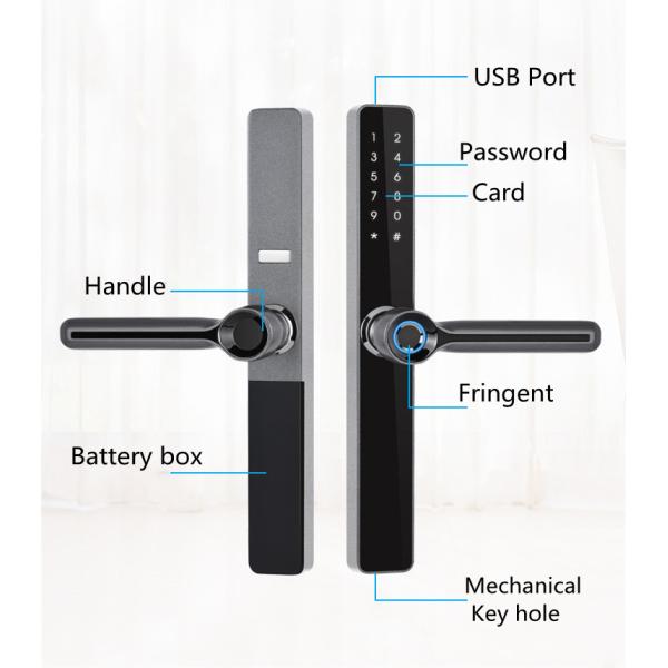 IP65 Antifreezing Aluminum Frame Fingerprint Glass Door Smart Lock
