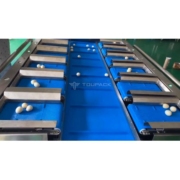 PLC Control System 12 Head Combination Weigher For Squid Cone Quail Eggs