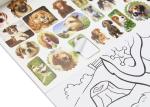 Kids Custom Coloring Book Printing , Animal Cartoon Sticker Coloring Book