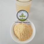 honeydew melon powder buy powdered musk melon best health benefits mixed drinks
