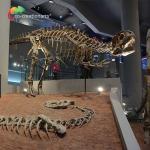 landscape decoration Outdoor Yangchuanosaurus Skeleton Dinosaur Replica Fossil