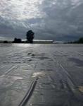 Anti-Seepage HDPE Geomembrane Liner for Fish Shrimp Farm in Length of 50-200m