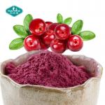 100% Natural Freeze Dried Cranberry Powder Cranberry Juice Powder Extract 25%