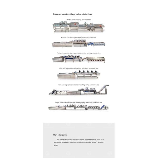 Automatic Dewatering Dehydrator Vegetable Mesh Conveyor Belt Drying Machine