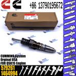 570016 4954646 Diesel Unit Injector 4076963 4903028 1481827 1521978 1764365