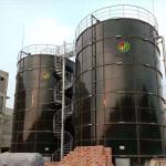 home made biogas digester food waste biogas plant Project