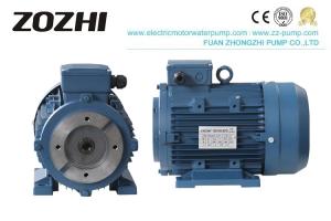 Wholesale 3 Phase AC Asynchronous Induction Motor Hydraulic IP54 IP55 With Hollow Shaft from china suppliers