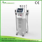 5 handle cryolipolysis slimming machine