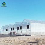 Layer Commercial Garden Clear 12m Flower PC Sheet Greenhouse