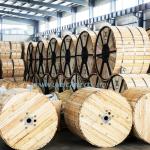 Insulated 0.6kv Copper Conductor PVC Control Cable for Versatile Power