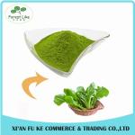 Vagetable P.E. Spinach Powder / BoBcai Powder without Additive