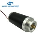 Custom 12v 24v 36v 48v small Brushless or Brushed Hydraulic Air or Water Pump Dc