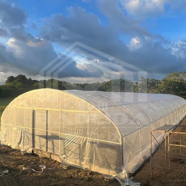 Agriculture Plants Growing Tunnel Greenhouse Sale Online 20m Tunnel Single-span