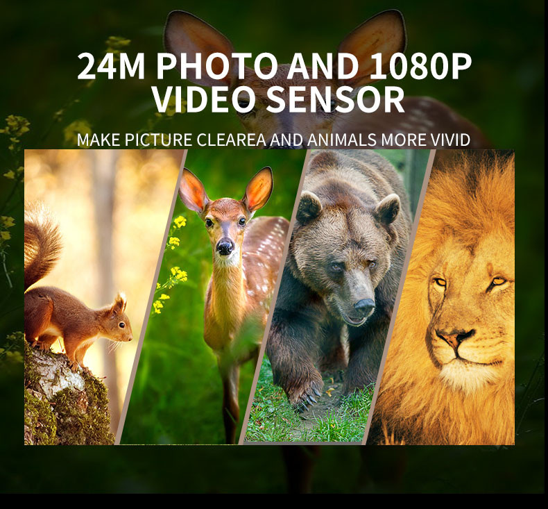 16pcs IR LED Hunting Trail Camera 32MP 60 Degree PIR Sending Angle Waterproof 4K / 10fps