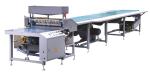 Manual Feeding Gluing Machine with Convoyer Belt / Gluing Machine