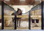 Colored Painted Horse Barn Stalls 12 Guage Steel Formed U Channel Divider Walls