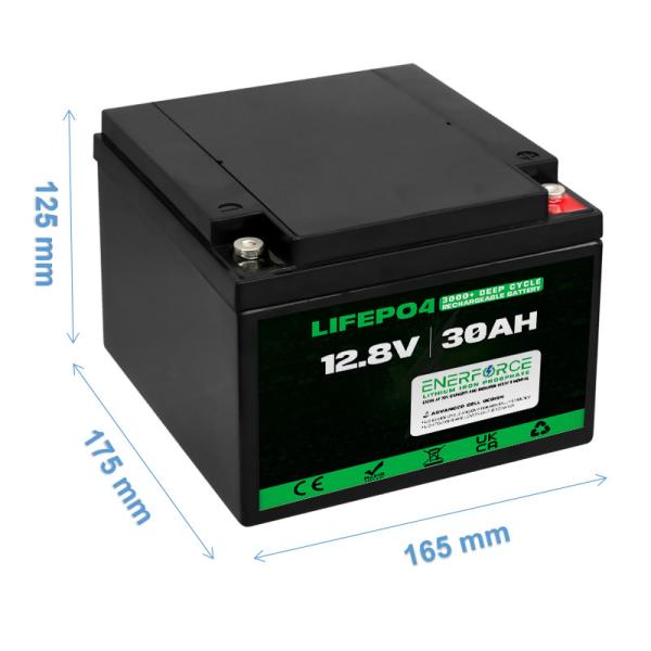 Rechargeable 12V 30Ah LiFePO4 Battery For Electric Tools And Recreational