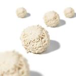 Deodorizing Biodegradable Cat Litter Flushable Most Natural Cat Litter